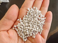 NS-4555E Physical Foaming Nucleating Agent For N2/CO2 Supercritical Foaming