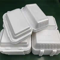 NS-PB5052-PLA Nucleating Agent Masterbatch – High-Efficiency Foaming Additive for Biodegradable Polymers